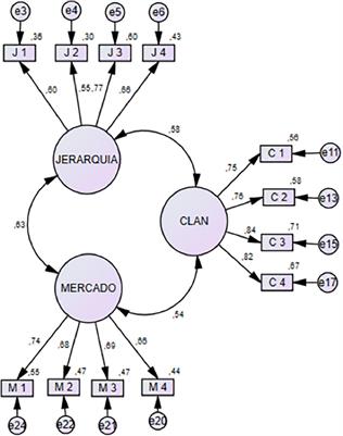 Spanish Adaptation of the Organizational Culture Assessment Instrument: Reflection on the Difficulty in Transferring the ad hoc Factor